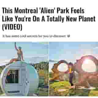 Maybe you'll spot ET!👽⁠
⁠
Click the link in @mtlblog bio for the full story! ⁠
⁠
📸: @jenniferselinger & @stephaniejbes⁠
