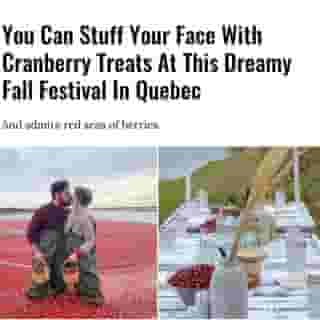 It's like stepping in to one of those cranberry juice ads! 😮⁠
⁠
Click the link in @mtlblog bio for the full story! ⁠
⁠
📸: @jojoboisvert⁠
⁠
#mtl #montreal #festival #fall⁠
