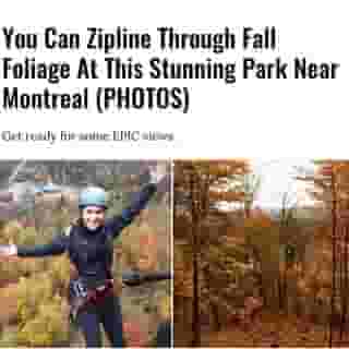 Possibility the most breathtaking way to experience the leaves changing colours. 🍁🍂⁠
⁠
Click the link in @mtlblog bio for the full story! ⁠
⁠
📸: @myriam_gauvin & @tyroparc⁠
⁠
#quebecactivity #quebecpark #quebeczipline⁠
 