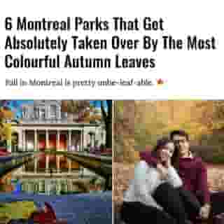 Is there anything better than a walk in the park during fall? 🍂⁠
⁠
Click the link in @mtlblog bio for the full story! ⁠
⁠
📸: @thia_nella31 & @phlowstudio⁠
⁠
#mtl #montreal #parks #autumn #fall