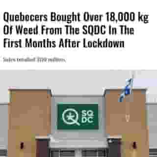 The Société québécoise du cannabis (SQDC) has posted enormous profits during its first quarter of 2020. For their part, Quebecers bought 18,922 kilograms of weed between March 29 and June 20, 2020 — the first few months after lockdown.⁠
⁠
Click the link in @mtlblog bio for the full story! ⁠
⁠
📸: sqdc via @facebook⁠
⁠
#mtl #quebec #weed ⁠
