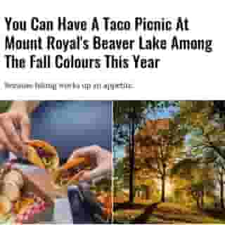 One of the few things we can still actually enjoy while the weather is chilly is a hike up Mount Royal. For a lot of Montrealers, there's nothing like exploring our own backyard and seeing the fall colours completely transform the mountain. As an added bonus, this year's new fall programming on Mount Royal includes a taco picnic at Beaver Lake.⁠
⁠
Click the link in @mtlblog bio for the full story! ⁠
⁠
📸: Agence Culte & Amis de la montagne via Emily Coffey⁠
