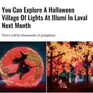 Spooky season is here and, surprisingly, shaping up to be pretty spectacular. Multiple popular events have announced their return for the 2020 season. 🎃⁠
⁠
Click the link in @mtlblog bio for the full story! ⁠
⁠
📸: @illumicavalia⁠
⁠
#mtl #montreal #halloween⁠
⁠
⁠
