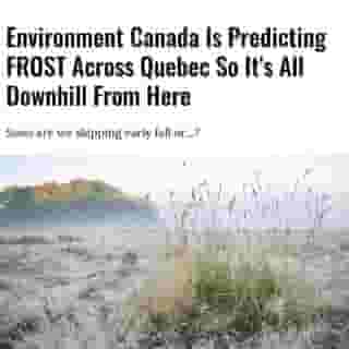 We wish they wouldn't. 😱⁠
⁠
Click the link in @mtlblog bio for the full story! ⁠
⁠
📸: Honourableandbold via @dreamstime