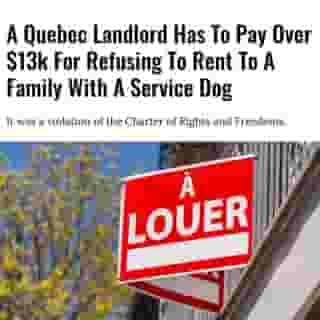 The Commission des droits de la personne et des droits de la jeunesse (CDPDJ) found the man discriminated against the family for a "means of alleviating a handicap" — a violation of the Charter of Rights and Freedoms. ⁠
⁠
Click the link in @mtlblog bio for the full story! ⁠
⁠
📸: Marc Bruxelle via @dreamstime⁠
