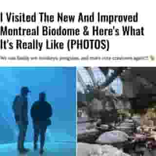 The wait is finally over!⁠
⁠
Click the link in @mtlblog bio for the full story! ⁠
⁠
📸: @mtlblog⁠
