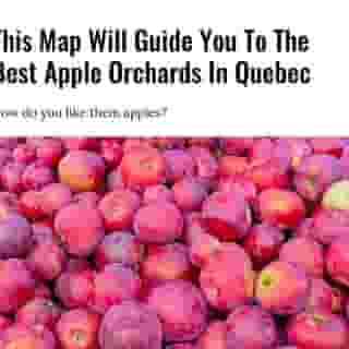 Who's ready for apple picking? 🍎⁠
⁠
Click the link in @mtlblog bio for the full story! ⁠
⁠
📸: Chon Kit Leong via @dreamstime⁠
⁠
#quebecappleorchard #appleorchard #quebec⁠
