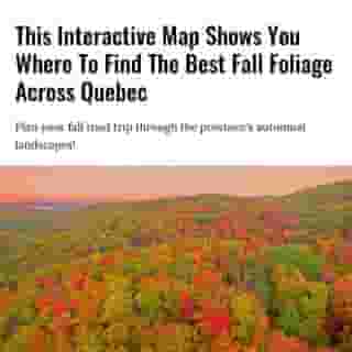 The leaves are already turning in some areas! 🍂⁠
⁠
Click the link in @mtlblog bio for the full story! ⁠
⁠
📸: Yasushitanikado via @dreamstime⁠
⁠
#fall #autumn #mtl #quebec #leaves⁠
