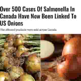  The Public Health Agency of Canada (PHAC) has issued an updated warning about red onions from the U.S. On September 14, the agency reported an additional 49 cases of salmonella believed to be linked to various onions imported from America.⁠
⁠
*Click the link in our bio for the full story! 👈⁠
⁠
📸: Alexv73 & Bhofack2 via @dreamstime⁠
⁠
#canadanews⁠
