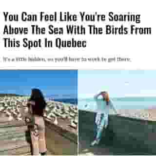 There's SO many birds here. ⁠
⁠
Click the link in @mtlblog bio for the full story! ⁠
⁠
📸: @alyeaconnell & @chanelrebell ⁠
