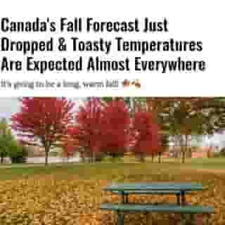 Fall is on the horizon, but there’s good news ahead. Canada’s fall forecast just dropped and the season is expected to be much warmer and milder than usual. Even better,  it’s expected to remain pleasant until November in some regions, which means winter is still a long, long way off!⁠
⁠
*Click the link in @narcitycanada bio for the full story! 👈⁠
⁠
📸: Anujak Jaimook via @dreamstime