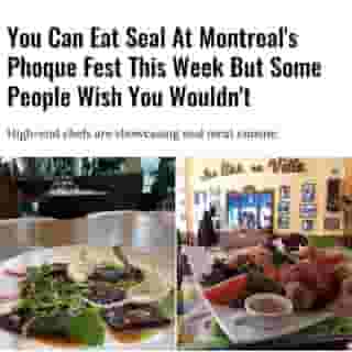 Phoque Fest has drawn both condemnation and praise. Find out why...🤔