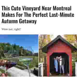 If this summer was the season of picnics, then the fall is sure to be the fall of incredible fall activities, like visiting some of the best vineyards that Quebec has to offer. 🍷⁠
⁠
Click the link in @mtlblog bio for the full story! ⁠
⁠
📸 : @vignobleduruisseau & @philblais⁠
⁠
#wine #mtl #montreal #vineyard⁠
