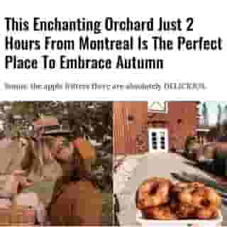 As a general rule, cool temperatures mean 1. pumpkin spice everything, and 2. a necessary trip to an orchard. Among the prettiest destinations exists a magnificent farm where you can pick apples and create moments marked by laughter and la joie de vivre. ⁠
⁠
Click the link in @mtlblog bio for the full story! ⁠
⁠
📸 : @lauriedouceur & @cathgarneauu⁠
⁠
#orchard #montreal #autumn⁠
