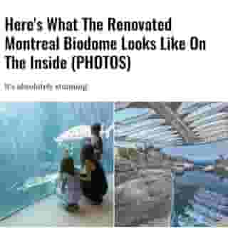 After two long years of renovations, the Montreal Biodome recently announced its reopening. The museum is promising some exciting new features like enhanced viewing platforms and an all-new icy entrance to its penguin habitat. ⁠
⁠
Click the link in @mtlblog bio for the full story! ⁠
⁠
📸: Courtesy of Marc Cramer & Mathieu Rivard⁠
