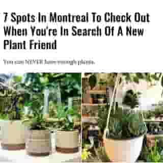 You can NEVER have enough plants.⁠
⁠
Click the link in @mtlblog bio for the full story! ⁠
⁠
📸:: @vertuosemontreal & @lejardindemathilde⁠
