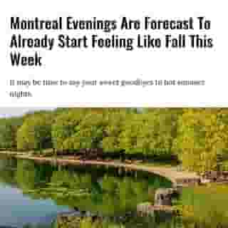 The leaves won't be changing colours just yet, though! 🍂⁠
⁠
Click the link in @mtlblog bio for the full story! ⁠
⁠
📸: Marc Bruxelle via @dreamstime⁠
