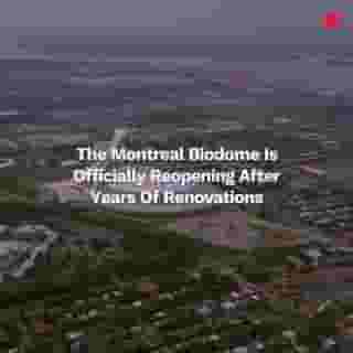 Good news for all you nature and animal-lovers!⁠
⁠
Click the link in @mtlblog bio for the full story! ⁠
