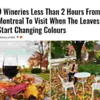 What better way to celebrate fall than with a glass of wine?  🍷⁠
⁠
Click the link in @mtlblog bio for the full story! ⁠
⁠
📸: @domaineduridge & @eleazarmorad⁠
