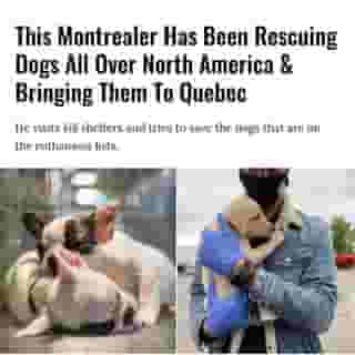 Yossi Ohana is also a local DJ and restaurant owner.⁠
⁠
Click the link in @mtlblog bio for the full story! ⁠
⁠
📸 : @rescuealldogsco & @djyoc ⁠
⁠
#mtl #montreal #dog #rescue #animalrescue #quebec⁠
