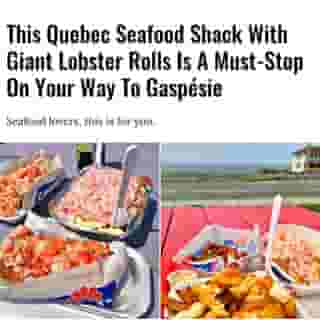 A fluffy bun overflowing with lobster chunks... 🤤⁠
⁠
Click the link in @mtlblog bio for the full story! ⁠
⁠
📸 : @narcityquebec & Cantine Sainte-Flavie enr. via @facebook⁠
⁠
#lobster #sea #lobsterroll #eats #quebec #eastcoast⁠
