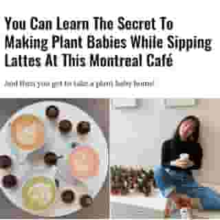 The first step into turning your apartment into a greenhouse! 🌿⁠
⁠
Click the link in @mtlblog bio for the full story! ⁠
⁠
📸: @leaveshousecafe & @eryukaa ⁠
