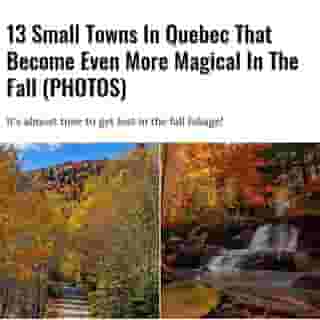 Some serious leaf porn is coming your way! 🍂⁠
⁠
Click the link in @mtlblog bio for the full story! ⁠
⁠
📸: @the_traveling_life_gast & @samuel__daly⁠
