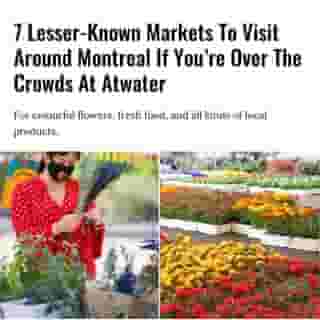 Broaden your market horizon! ☀️⁠
⁠
Click the link in @mtlblog bio for the full story! ⁠
⁠
📸: @marche514 & @marchepublic440⁠
