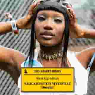 The new hip hop Madonna, the trap Grace Jones. 🐊 @doechii wins Best Rap Album for "Alligator Bites Never Heal." Link in bio for the full winners list.