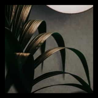 A sneak peek at some of our most recent community gatherings, curated with the intention of playful exchange and connection. With free access to the Salt Cave, massages, energy-filled jam sessions and more, there’s plenty of opportunities to come together and rise together.

Join us this Weekend (July 12 & 13) for our Official Grand Opening– our biggest social event at Wheelhouse yet. (All programming details can be found in our Grand Opening Highlight)

#grandopening #lisboncommunity #Lisbonevents #communityspace