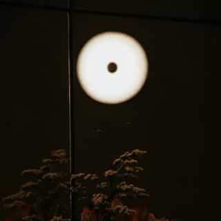 Magical moments in the comforting corners of our dimly lit Library Space– its ambiance best described as a warm mystical embrace.

Featuring the talented Poet @annamouchref, typewriting live poetry for guests, as a tender welcome into our haven.

More special in-house experiences and entertainment will be taking place at our Official Grand Opening– stay tuned for dates & programming.

#grandopeningevent #lisboalive #livepoetry #intentionaldesign #sacredspace