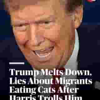 Former President Trump spiraled after his opponent made fun of his unhinged rally rants and dwindling crowd sizes: "In Springfield, they’re eating the dogs — the people that came in — they’re eating the cats." Hit the link in bio to learn more. 📷 Win McNamee/Getty