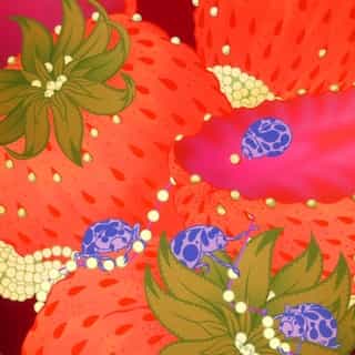 🐞 𝗔𝗟𝗜𝗖𝗘 𝗦𝗔𝗘𝗬 - 𝗠𝗜𝗡𝗨𝗦𝗖𝗨𝗟𝗘 🐞

It’s an understatement to say that the emotion was palpable at the Kiblind Tower when we received the cover of the “Minuscule” issue, designed by @alicesaey. An admirer of the long-time animator and illustrator, the entire magazine team wept with joy. And they should have. For this cover, the artist went back to her greatest classics: hallucinogenic shots, biological swarms and radiant colors. As if that weren’t enough, she also varnished us with the animated version below. A chance to see these fascinating little creatures at work.

_____________________________________
🐞 𝗔𝗟𝗜𝗖𝗘 𝗦𝗔𝗘𝗬 - 𝗠𝗜𝗡𝗨𝗦𝗖𝗨𝗟𝗘 🐞

C’est peu dire que l’émotion était palpable dans les locaux de la tour Kiblind au moment de recevoir la couverture du numéro « Minuscule » réalisée par @alicesaey. Admirative de l’animatrice et illustratrice depuis longue haleine, l’équipe du magazine s’est mise toute entière à pleurer de joie. Il y avait de quoi. Pour cette couverture, l’artiste a repris ses plus grands classiques : prise de vue hallucinogène, grouillements biologiques et couleurs irradiantes. Comme si ça ne suffisait pas, elle nous a vernit avec la version animée ci-dessous. L’occasion de voir ces fascinantes petites bêtes à l’oeuvre. 

🪩 Eh mais d’ailleurs ! On fête le lancement de notre numéro « Minuscule » ce soir au @pointephemere à Paris. On vous donne rendez-vous de 18h à 01h pour récupérer gratuitement le mag, admirer les films d’Alice Saey, voir des expos super, découvrir le mini marché de mini objets, danser sur les DJ sets de @audreycristea, @vickies.dj et @laurage.ko, participer à des ateliers... à toute ! 

#kiblindminuscule #kiblindmagazine #coccinelle #ladybug #alicesaey #illustration #animation