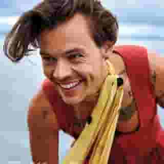 Happy birthday, Harry Styles! Relive our 2019 photoshoot with the 21st-century rock star and hit the link in bio for a track-by-track breakdown of his Grammy-nominated album 'Fine Line.'

📸 @ryanmcginleystudios