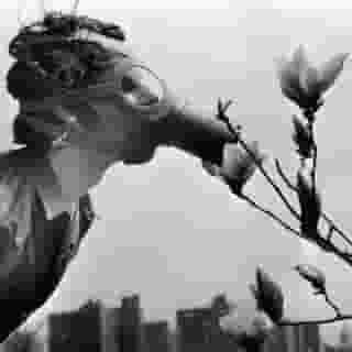 The first #EarthDay, on April 22nd, 1970, was, in the parlance of the times, a “happening.” It unfurled across the country in countless iterations. In Manhattan, picnic blankets were set out on Fifth Avenue, which was shut down to traffic. In Boston, people were arrested at Logan Airport for protesting noise pollution. In Tacoma, Washington, high school students rode down a highway on horseback to protest automobiles. In San Francisco, oil was dumped into the reflecting pool at the offices of Standard Oil. And “trash-ins” were held all over, with groups cleaning up aluminum cans and other litter, an activity that would become a fixture of the decades of Earth Days to come.⁠
⁠
 It is unlikely that the words “climate change” or “global warming” were spoken by any of the estimated 20 million people who participated in that first Earth Day. But in other ways, the pleas of participants would be all too familiar to us — that we must limit pollution, along with greed, and listen to scientists if we want an Earth that continues to be habitable. “The environmental community was never about public health until the first Earth Day. That was the big line that people crossed over,” says Kathleen Rogers, president of the Earth Day network. “It’s about our health, the health of the planet. It’s about taking action.”⁠
⁠
Fifty years later, we’re still having the same fights — and the stakes have only gotten higher. Tap the link in bio for a look at the day the modern environmental movement was born.⁠
⁠
Photo: AP @apnews /Shutterstock