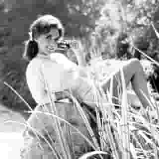 Dawn Wells, the ‘Gilligan’s Island’ star who remained a pop culture icon for decades as Mary Ann, has died at 82 from complications related to Covid-19. Learn more at the link in our bio. Photograph by CBS/Getty Images