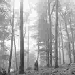 From Taylor’s folk surprise to Bad Bunny and Lil Uzi Vert, these great albums helped us power through a lonely year. Tap the link in our bio for the 50 best albums of 2020.