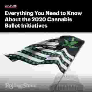 Arizona, Mississippi, Montana, New Jersey, and South Dakota will vote on whether to legalize cannabis. Learn more at the link in our bio. 