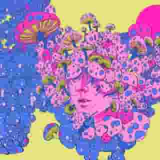 Like 4/19 for LSD and 4/20 for weed, 9/20 is the holiday for psychedelic mushrooms. Here, in our first column from the editors of @DoubleBlindMag, a look at the mind-expanding possibilities of psilocybin, and the day we set aside to celebrate it. Link in bio. Illustration by @alterlier for Rolling Stone