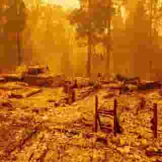 Jeff Goodell writes about his home state of California, what has already been lost in the wildfires, and how much worse it could get. "I know fires have been happening in California for a long time, and that all of this can be rebuilt," he writes. "But this is not just a bad wildfire season. Every year is going to be bad." Click the link in our bio to read the full essay. Photograph by Josh Edelson/AFP/Getty Images