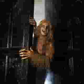 With the release of a new vinyl box set, 'See You on the Other Side,' Ozzy Osbourne has been reflecting on each chapter of his career lately. In our latest interview, he tells us about when he shot the video for “Bark at the Moon” in a “disused Victorian mental hospital” and more. “It was fuckin’ weird," he tells us. "We found a fetus — a fucking baby — in a pickle jar there." Click the link in our bio for the full story. Photograph by Fin Costello/Redferns/Getty Images