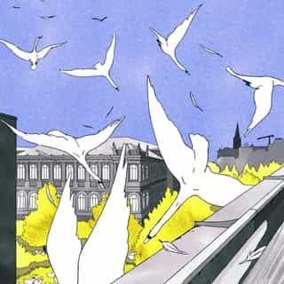 🐦 When we asked @bohuonquentin to do an illustration for our last issue "In my street", the illustrator from Strasbourg decided to draw the landscape he sees everyday but with some swans taking back the urban space when all the humans were confined. Find this story and an introduction to his delicate graphic style on Kiblind.com. (Link in bio)
..................................................................................
In french svp ☝️

🐦 Quand on a demandé à @bohuonquentin de faire une illustration pour notre magazine "Dans ma rue", l'illustrateur strasbourgeois a décidé de dessiner le paysage qu'il observait tous les jours, à un détail près : la colonie de cygnes reprenant sa place dans la ville, alors que nous étions tous confinés. Il nous raconte l'histoire de ce dessin sur Kiblind.com, l'occasion pour nous de faire découvrir son univers si joli et délicat. (Lien dans la bio)

#quentinbohuon #strasbourg #building #urban #cygnes #swans #birds #lockdownlife #street #dansmarue #kiblindmagazine #kiblinddansmarue #illustration #neighborhood #illustrationofheday #printmatters #printmag