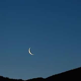 The many moods of the moon. 🌕🌖🌗🌘🌑🌒🌓🌔🌕 ⁠
⁠
