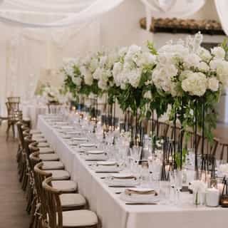 A candlelit reception draped in luxury and elegance.... we would never want to leave! If you're looking for a clean modern look without sacrificing style our Merletto linens may be the perfect fit with their lace-like texture. ⁠
⁠
Planning+Design| @blissfullystyledevents⁠
Floral+Design | @npdevents⁠
Photo | @hollyfreytagphoto⁠
Video | @rickymeyerfilms⁠
Venue | @monserateweddings @monseratewinery⁠
Rentals | @signaturepartyrents⁠
Linens | @creativecoverings @samantha_creativecoverings⁠
Draping | @glameventsylist⁠
Cake | @sweetasloveoc⁠
Champagne Tower | @bottlesandblooms @towersbybottlesandblooms⁠
Beauty | @twirlyshears⁠
Attire | @love___era @friartux @ea_sports2.0⁠
Stationery+Signs | @ultimatedesign13⁠
Models | @vxd.flcke⁠
⁠
⁠
#creativecoverings #luxurywedding #luxevents #weddinginspo #weddingideas #weddingreception #weddingtable #tablescape #eventdesign #eventprofs #weddingplanning #bridal ⁠