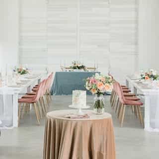 Our Plush Velvet linens add warmth and softness to any event. With 14 colors to choose from these linens are ready for any theme or design. ⁠
⁠
Venue: @lmestate⁠
Host: @adrigphotography⁠
Coordination & Rentals: @citruscityevents⁠
Rentals: @adorefolklore @catalogatelier⁠
Linens: @creativecoverings ⁠
Cake: @sweetcheekshomestead⁠
Florist: @little.moon.blooms⁠
⁠
⁠
⁠
#creativecoverings #luxurylinens #velvet #weddinginspo #weddingideas #weddingreception #tablescape #weddingtable #bridal #luxurywedding #pastelwedding #weddingday #weddingdetails #eventprofs