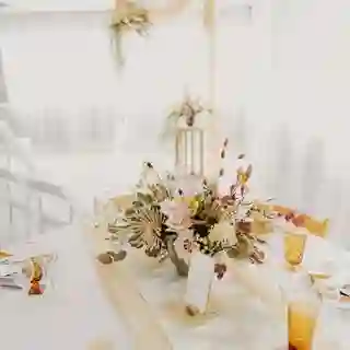 Nothing says fun in the sun like these glamorous green abstract and canary lamour linens!☀️💚 The unique design just looks so radiant with natural lighting. ✨

What do you think of these colorful runners for that special day? 💭 Check the link in our bio if you want to reserve these linens or see more of this! 

Venue: @theelevatedestate
Rentals: @tahoeelevatedevents
Photography: @tstantonphotography
Linens: @creativecoverings
Florals: @leahsperfectrose
Calligraphy: @pankeyplanning
Invitations: My Custom Wedding