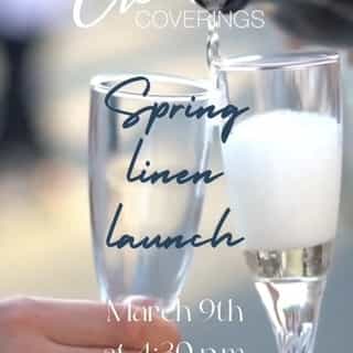 Join us this Thursday as we celebrate the launch of our fabulous new linens! There will be bubbles, bites, a DJ + so much more. RSVP to info@creativecoverings.com and we hope to see you there! 

#renoweddingvendor #renosmallbusiness #sparkssmallbusiness #sparksnv #newlinen #specialtylinenrental #specialtylinen
