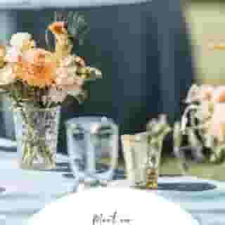 Linnea linens are a classic best seller for good reason! Available in so many beautiful colors, you just can't go wrong with this lightweight and wrinkle free linen.

#linenrentals #lineninspiration #weddingstyle