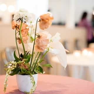 Stop and smell the flowers 💐⁠
.⁠
.⁠
.⁠
.⁠
.⁠
⁠Photos from our Sacramento Spring Showcase courtesy of the ever so talented @carmensalazarphoto ⁠
Design & Coordination | @parkernicholsevents ⁠
Catering |  @milkmoney916 & @lowbrau916 ⁠
Floral Design | @thistle.and.honey ⁠
Signage | @emilymurpheydesigns Designs⁠
Balloon Installation | @thepartyconcierge Concierge⁠
Rentals | @cprandtents ⁠
DJ & MC | Extreme Productions⁠
Photo Booth | @giggleandriot Riot�⁠
