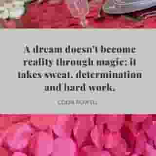 Linen l Watermelon Petal Taffeta